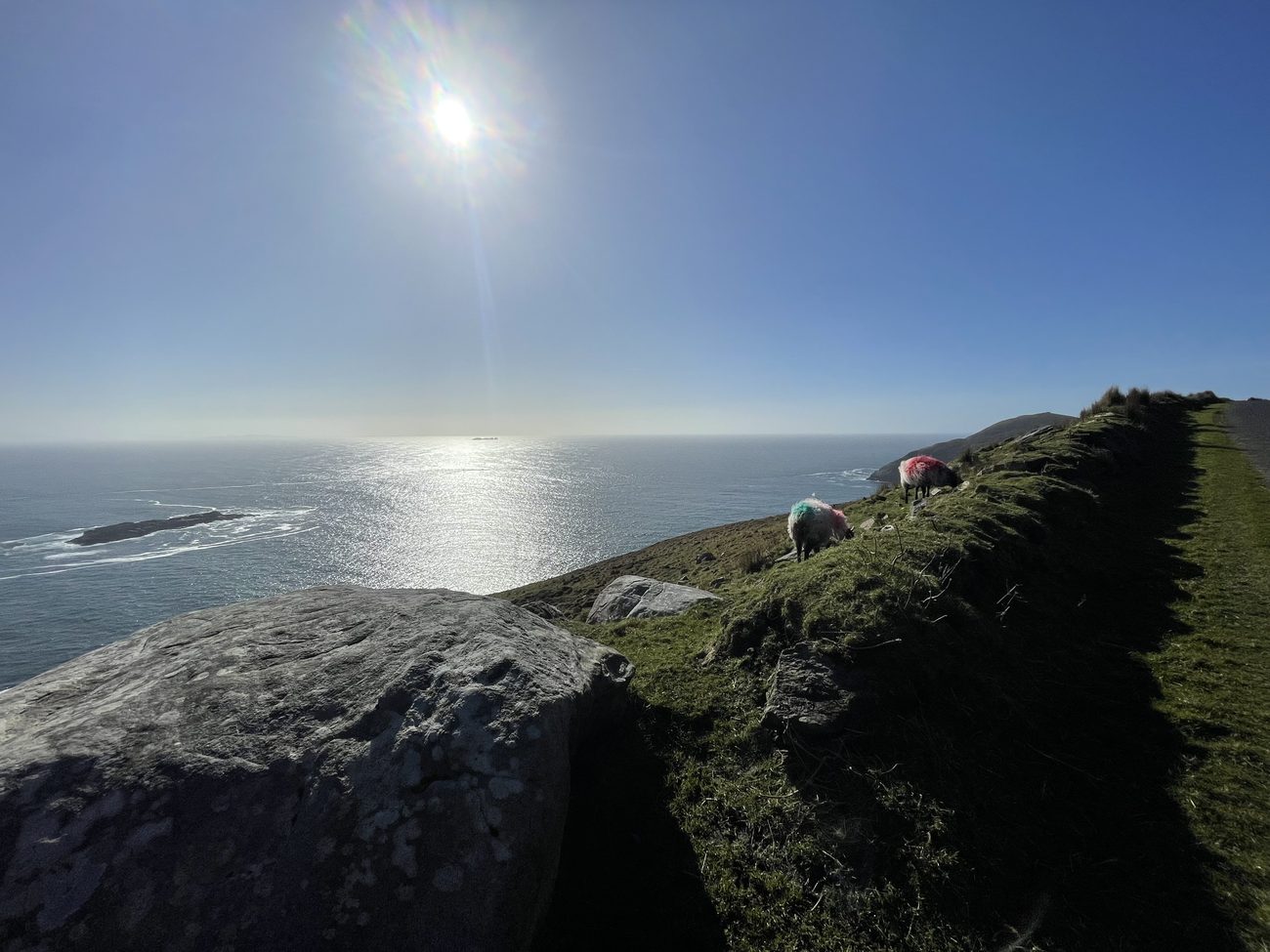 A grassy clifftop path above the Atlantic on Achill Island, in low sun.